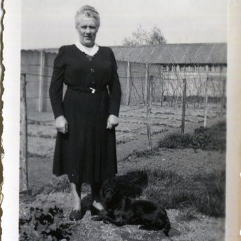 Photo of Jeanine VanKerckhove